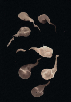 http://actionaqua.com/files/gimgs/th-114_20250505DJI0010 invert.jpg